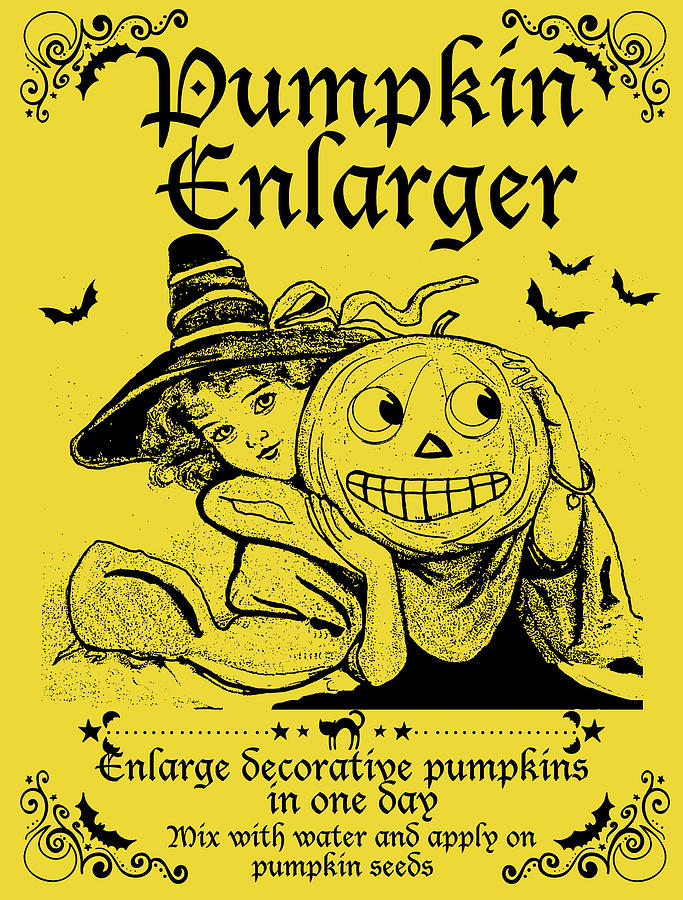 Pumpkin Enlarger Digital Art by Long Shot