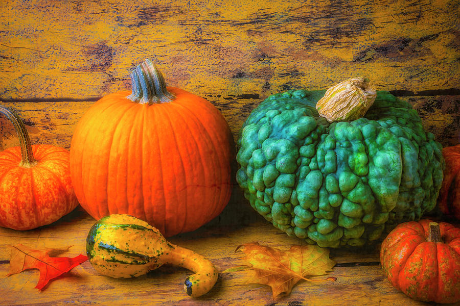 Pumpkin Photograph - Pumpkin Fall Autumn Still Life by Garry Gay