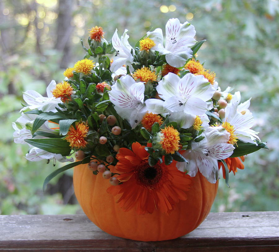 Pumpkin Flower Bowl 11 Photograph