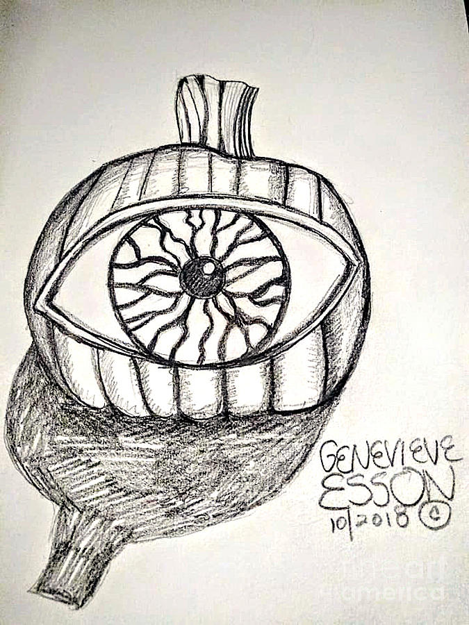 Pumpkin Drawing by Genevieve Esson
