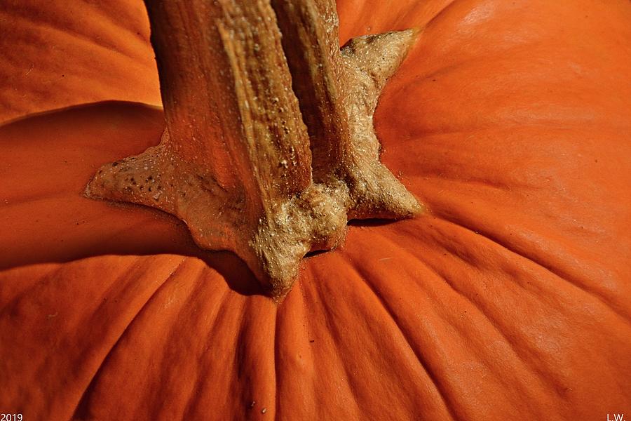 Pumpkin Photograph by Lisa Wooten