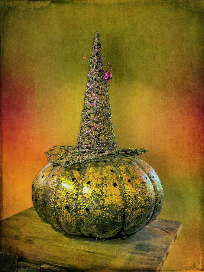 Pumpkin Magic Photograph by Leslie Montgomery