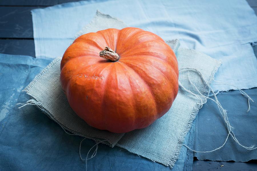 Pumpkin Of The Species Red Zentner On Blue Fabric Photograph by Manuela Rther