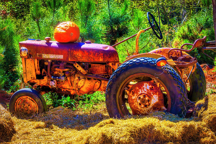 Pumpkin On Old Tractor Photograph by Garry Gay