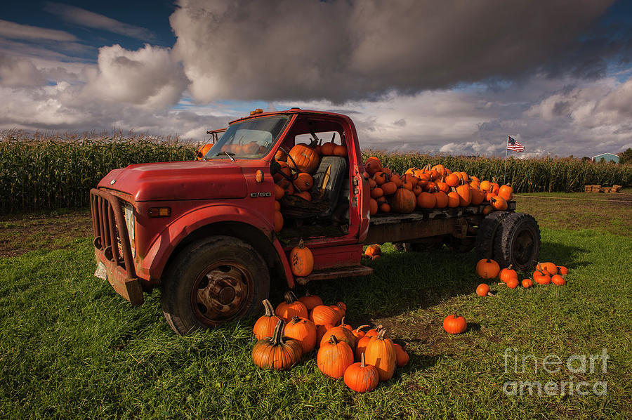 Pumpkin Patch with Old Flat Bed Truck  Photograph by Jim Corwin