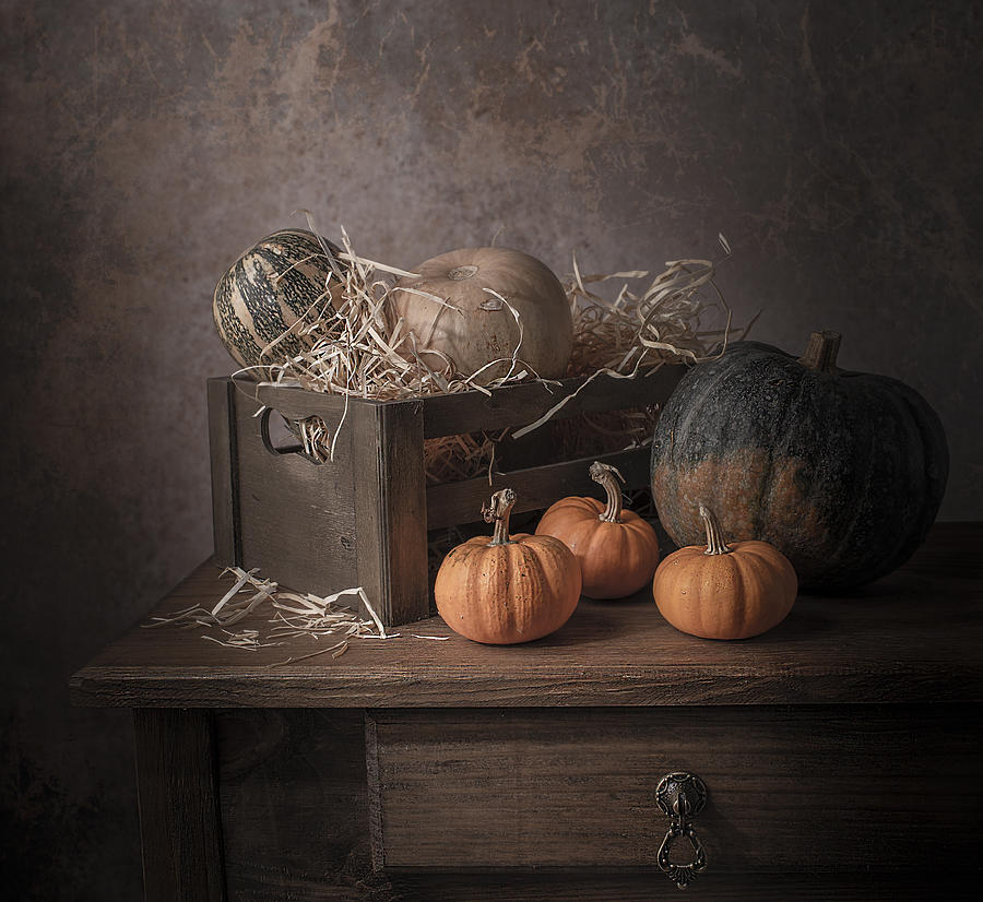 Pumpkins Photograph - Pumpkin Recipes? by Margareth Perfoncio