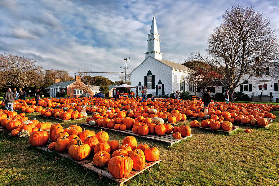 Pumpkin Sale, Cape Cod, Massachusetts Digital Art by Claudia Uripos