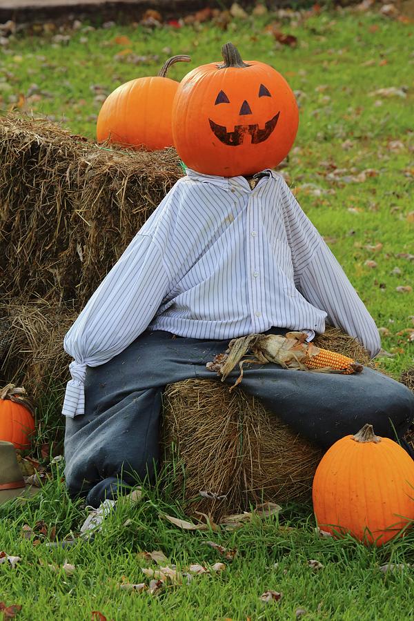 Pumpkin Scarecrow Wearing Shirt And Trousers Sitting On Hay Bale Photograph by Steven Morris