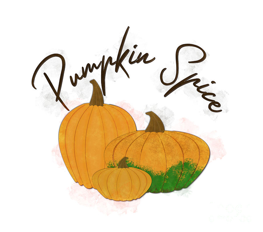 Pumpkin Spice Digital Watercolor Photograph by Colleen Cornelius