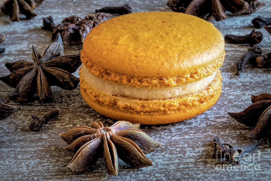 Cookie Photograph - Pumpkin Spice Macaron Close Up by Elisabeth Lucas