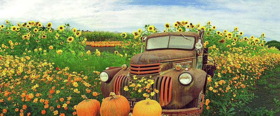 Pumpkin Truck Photograph by Don Schimmel