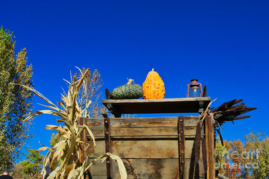 Pumpkin Wagon Photograph by Steven Parker