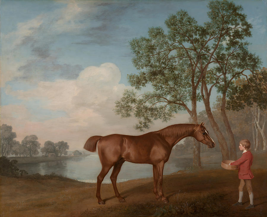 George Stubbs Drawing - Pumpkin With A Stable-lad, George by Artokoloro