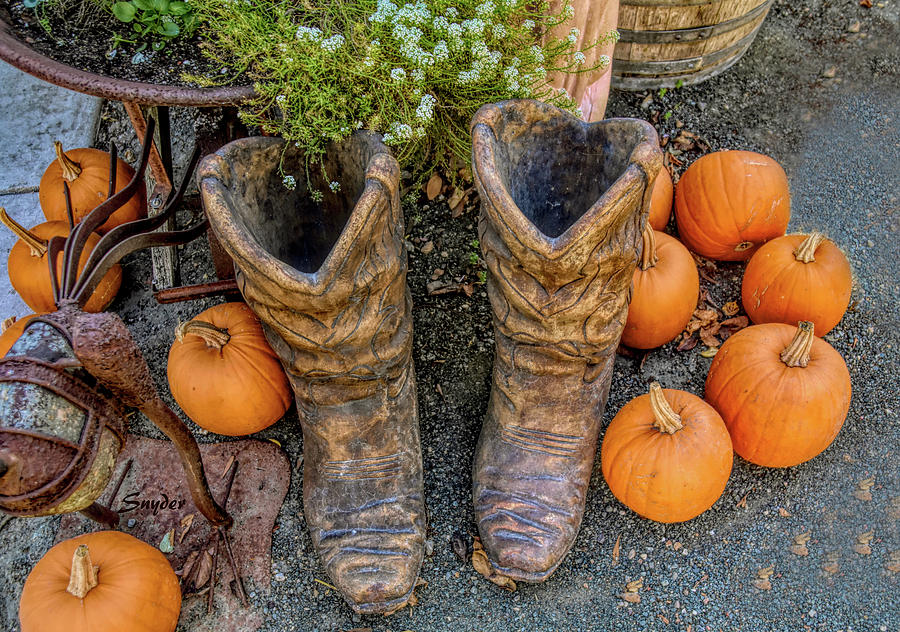 Pumpkins And Boots  Photograph by Floyd Snyder