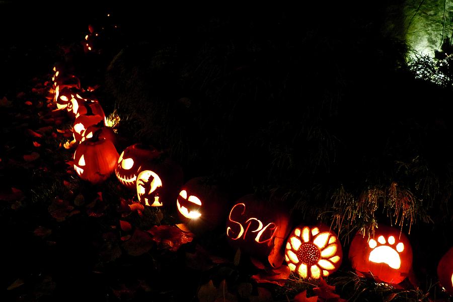 Pumpkins at Night Halloween Parksville Photograph by Brian Sereda