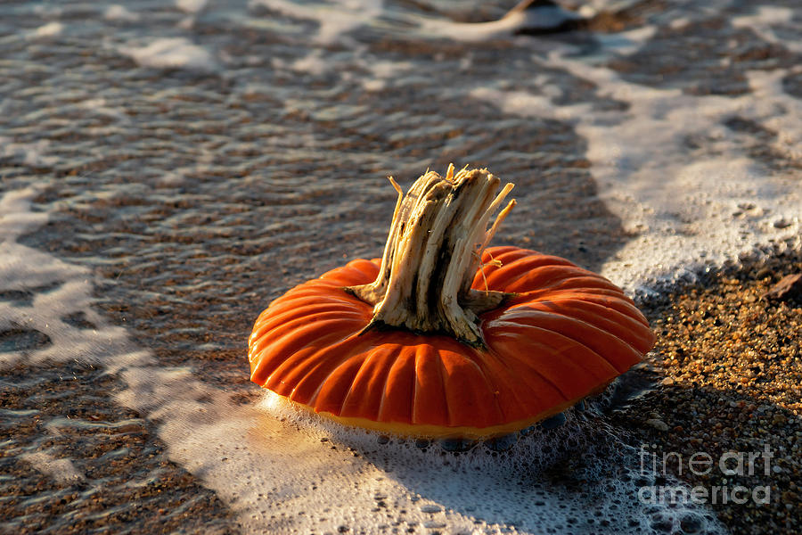 Pumpkins Cant Swim Photograph by Joe Geraci