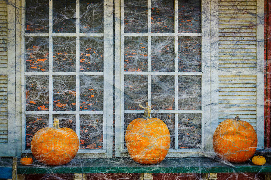 Pumpkins In Spider Webs Photograph by Garry Gay