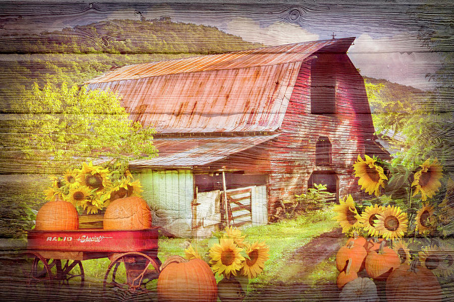 Pumpkins in the Sunflowers on Wood Textures Photograph by Debra and Dave Vanderlaan
