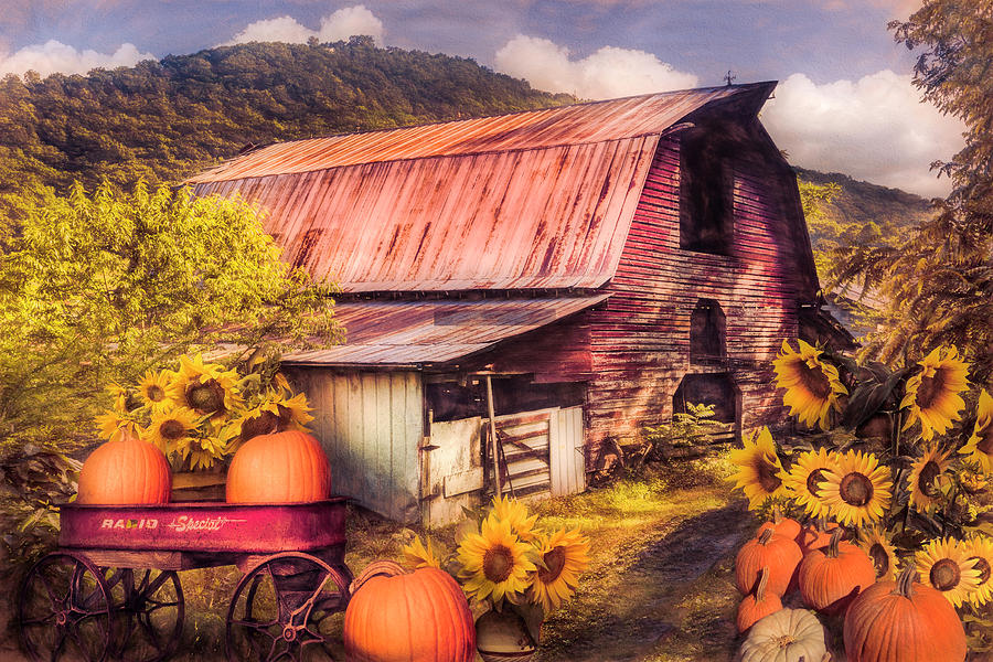 Pumpkins in the Sunflowers Painting Photograph by Debra and Dave Vanderlaan