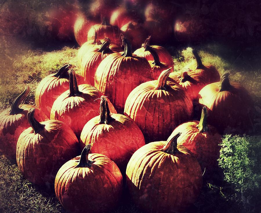 Pumpkins Photograph by Lois Lepisto