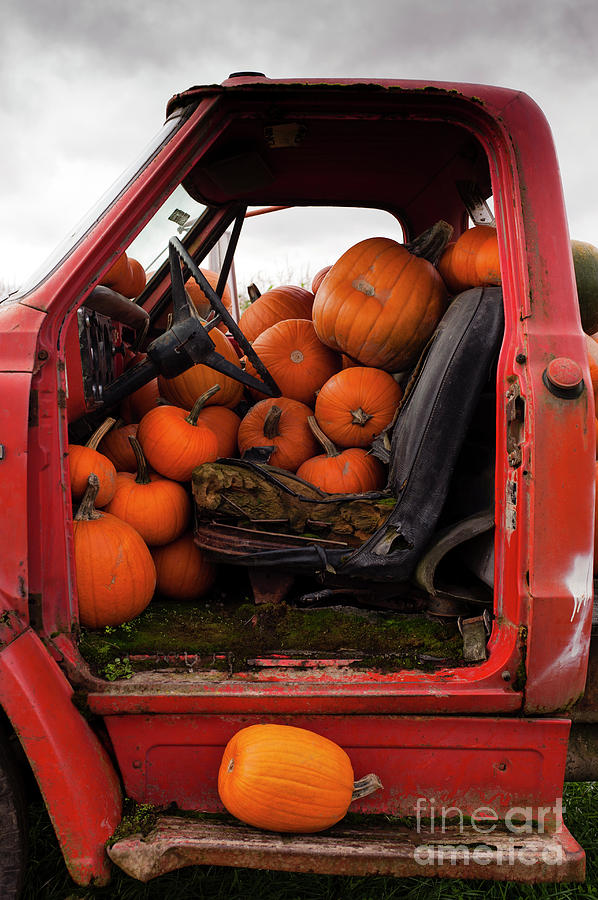 Pumpkins Old Truck Photograph by Jim Corwin