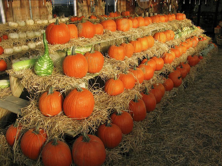 Pumpkins Stacked In A Barn Photograph by William Boch