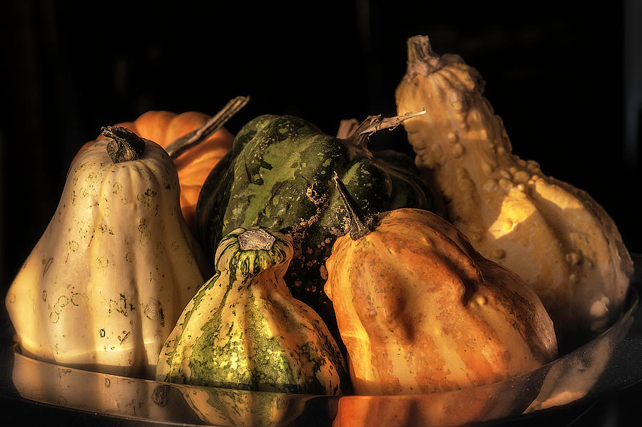 Pumpkins Photograph by Wolfgang Stocker