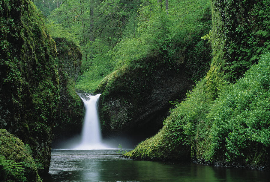 Punchbowl Falls  Columbia Gorge Scenic Photograph by Nhpa