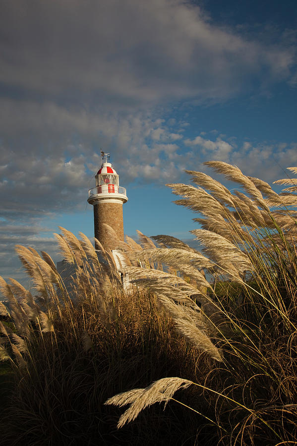 Punta Brava Lighthouse, Montevideo Photograph by Walter Bibikow