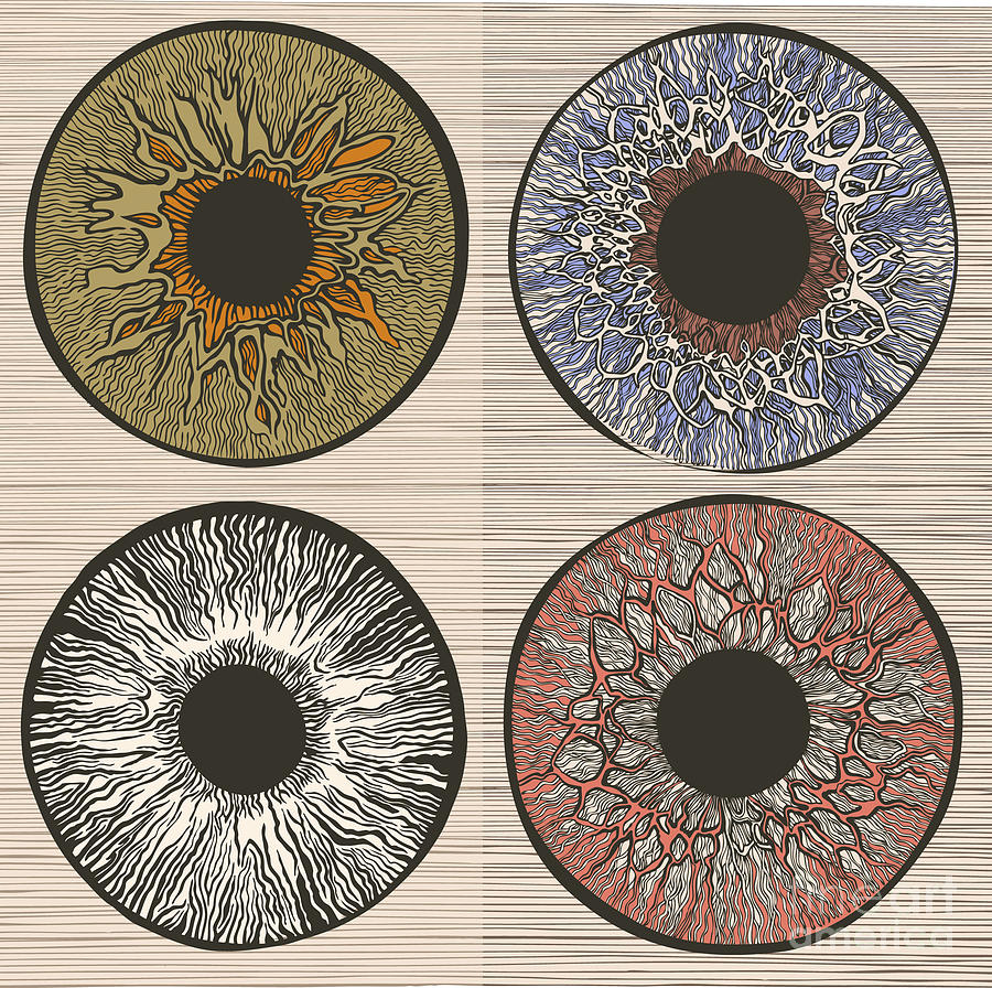 Iris Digital Art - Pupil Variations Macro Human Eye by Ryger
