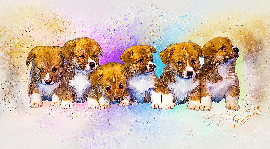 Puppies Digital Art by Tom Schmidt