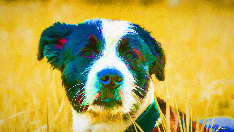 Painting Painting - Puppy 482 - Painting by Ericamaxine Price Painting Painting - Puppy 482 - Painting by Ericamaxine Price