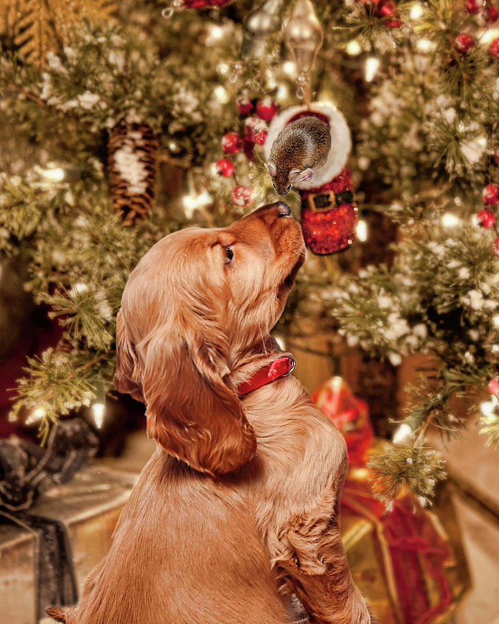 Christmas Photograph - Puppy And Mouse by Liz Zernich