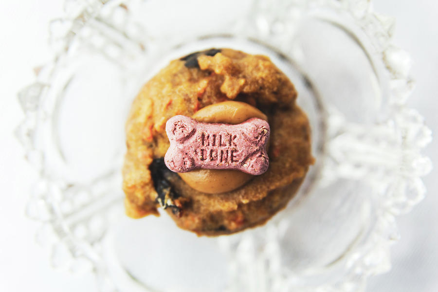 Puppy Cupcake Topped With A Milkbone by Jeanette Fellows Puppy Cupcake Topped With A Milkbone by Jeanette Fellows