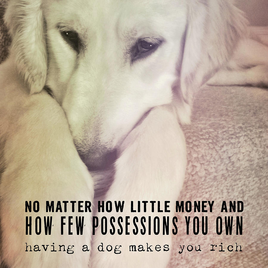 Dog Photograph - PUPPY DAWG quote by JAMART Photography