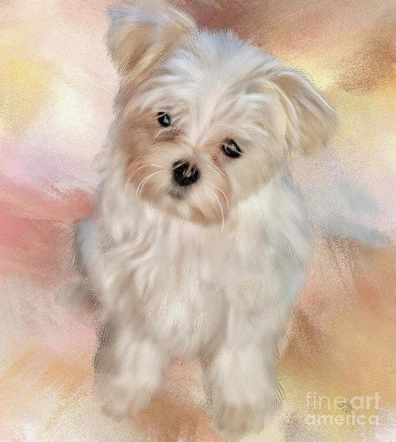 Puppy Dog Eyes Digital Art by Lois Bryan