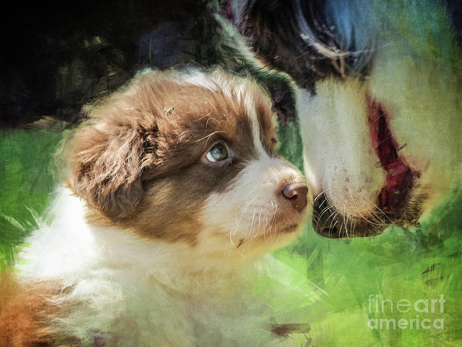 Puppy Dog Digital Art by Phil Perkins