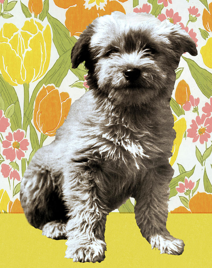Vintage Drawing - Puppy on Floral Background by CSA Images