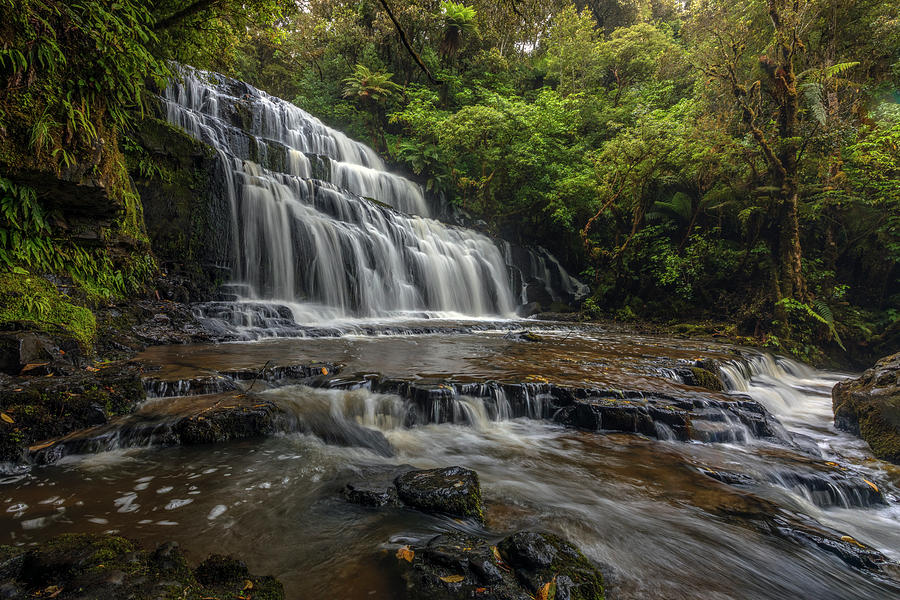 Purakaunui Falls - New Zealand Photograph by Joana Kruse