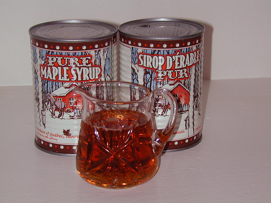 Tree Photograph - Pure maple syrup by Winston Fraser