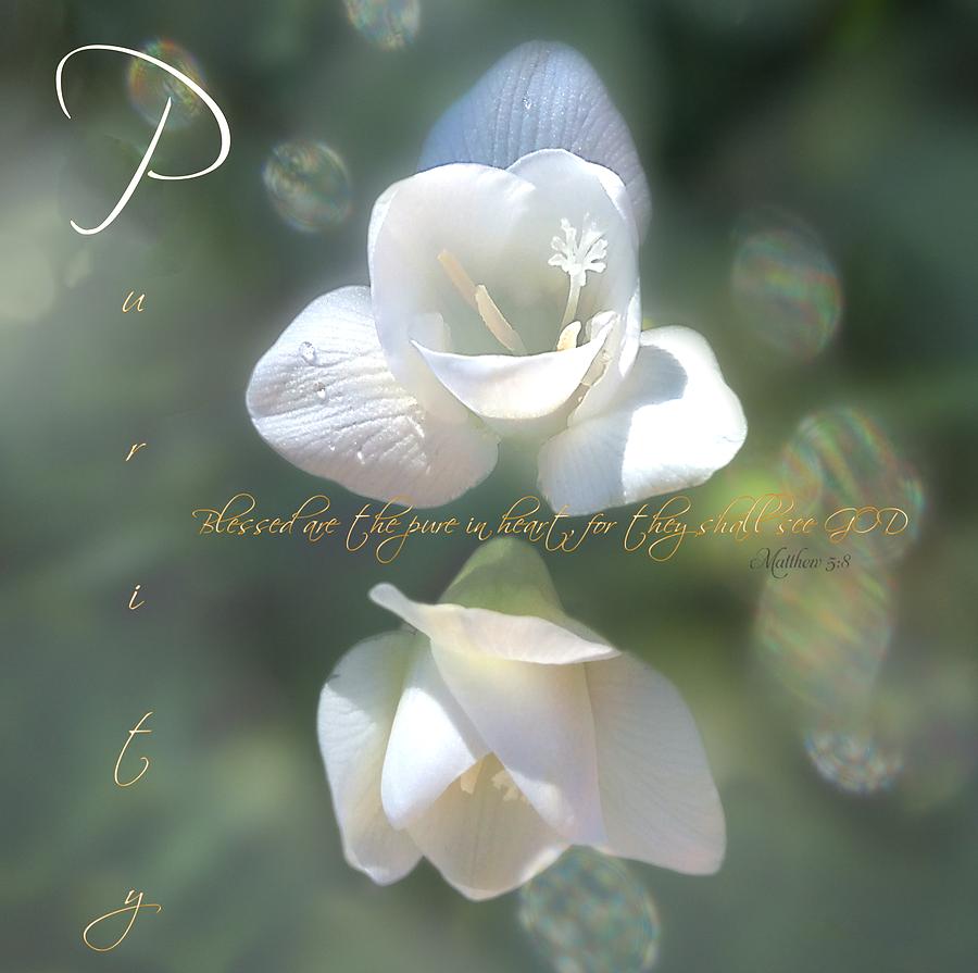 Purity by Valerie Anne Kelly Purity by Valerie Anne Kelly