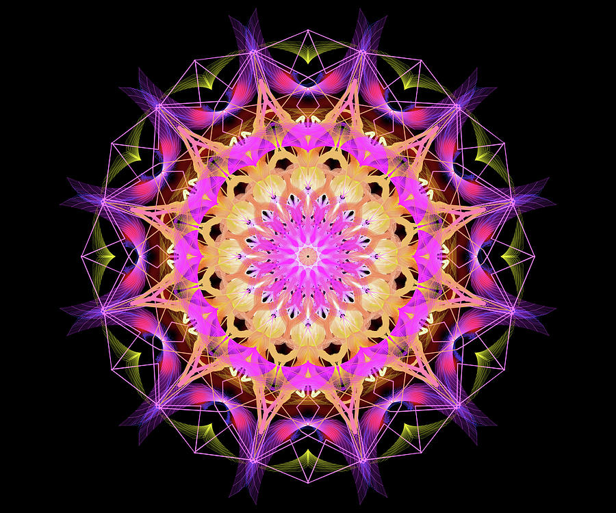 Mandala Painting - Purple 1 by Stephanie Analah