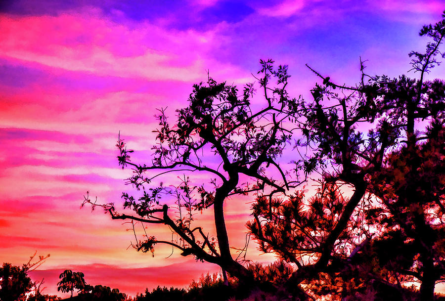 Purple And Orange Sunset 1 Abstract Digital Art