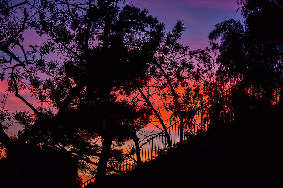 Purple and Orange Sunset 2 Photograph by Linda Brody