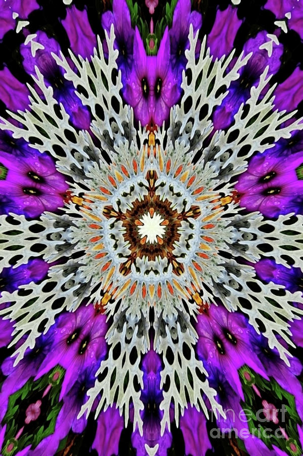 Purple and White Digital Art by D Hackett