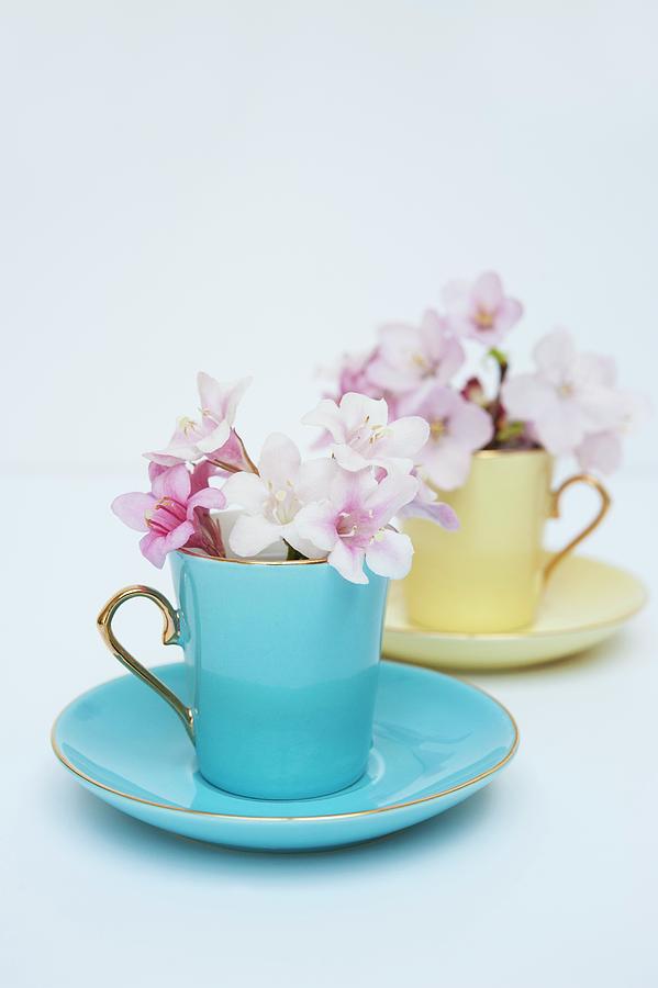 Purple And White Flowers In Colourful Antique Mocha Cups With Saucers Photograph by Linda Burgess