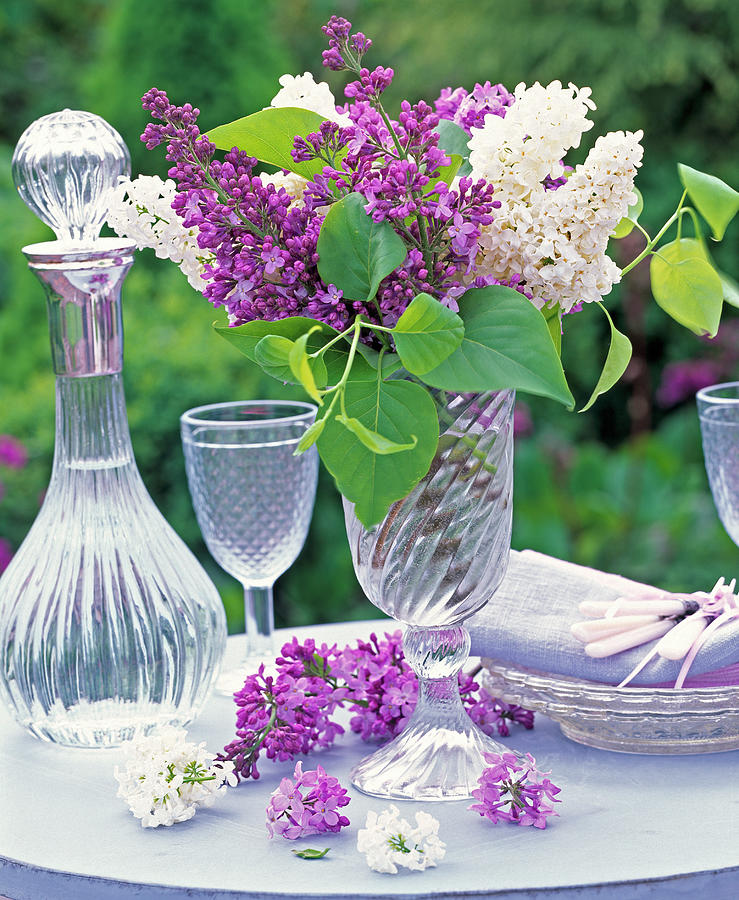 Purple And White Syringa In Tall Glass Vase, Flowers, Carafe, Wine Glass Photograph by Friedrich Strauss