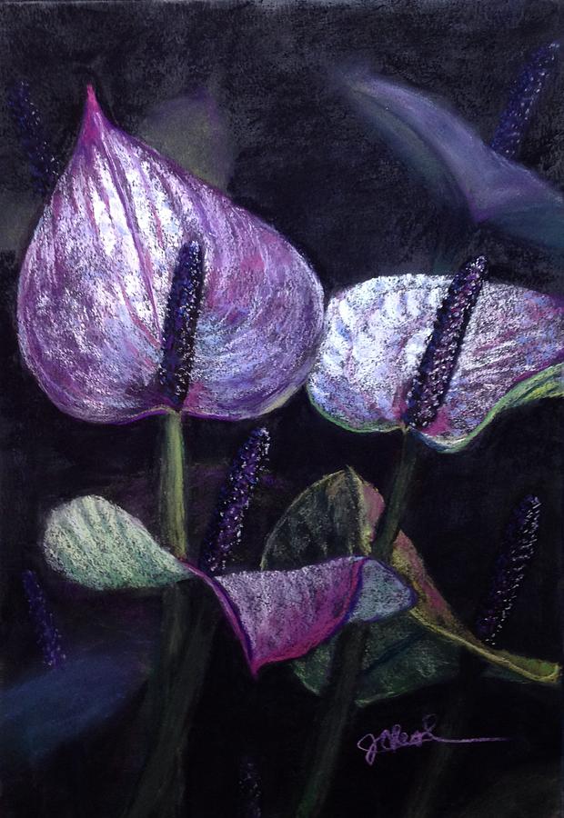 Purple Anthuriums Pastel by Jan Chesler