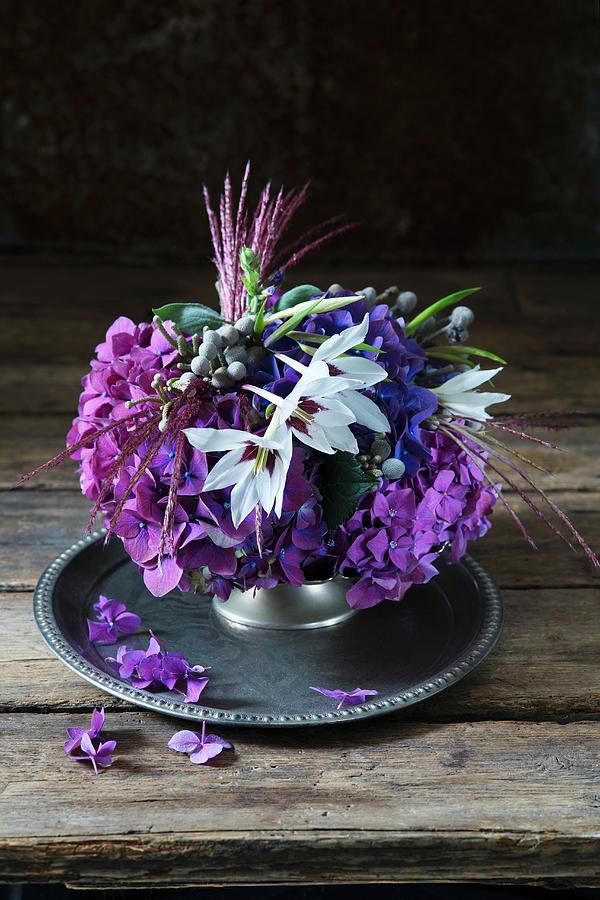 Purple Arrangement Of Hydrangeas, Abyssinian Sword-lilies And Phylica Photograph by Alena Hrbkov