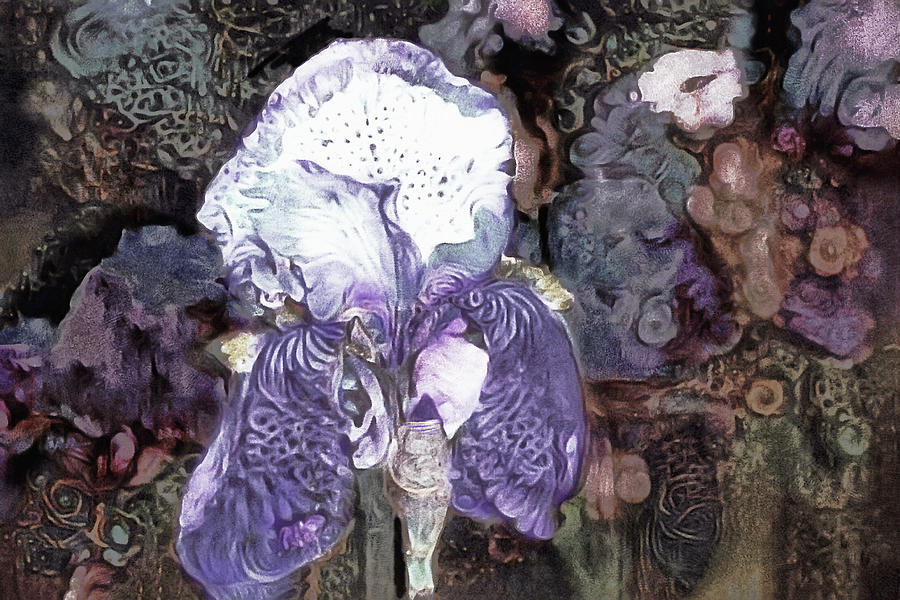 Purple Bearded Iris Mixed Media by Susan Maxwell Schmidt